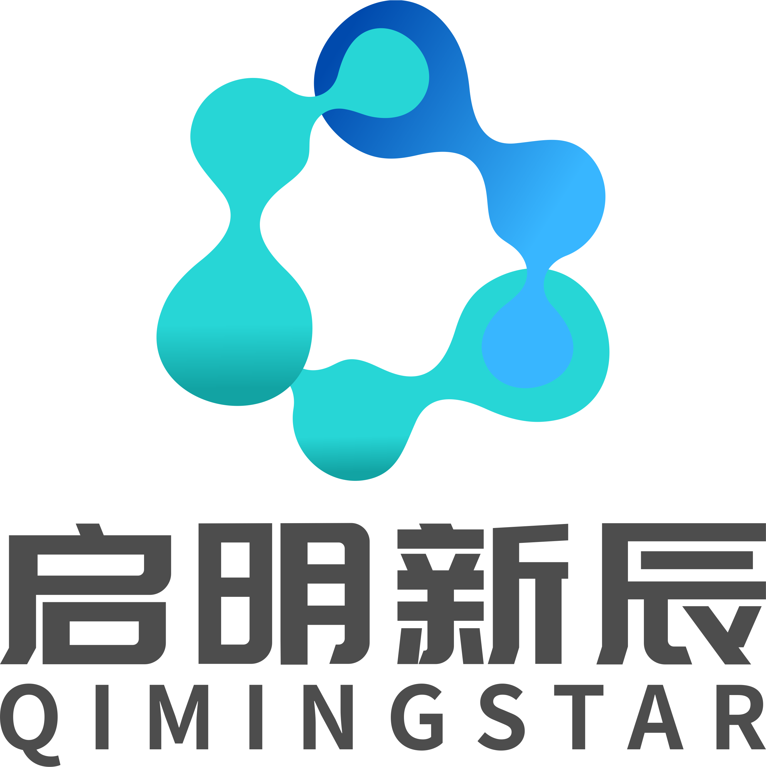 启明新辰 Logo
